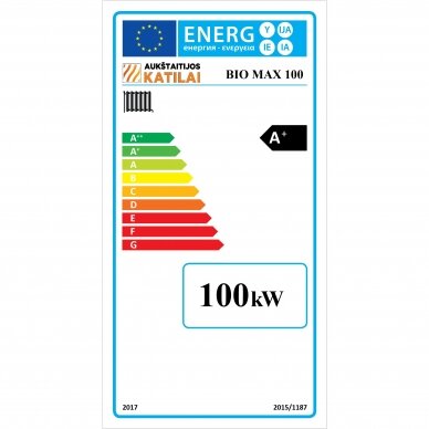 Rūpnieciskais cietā kurināmā katls Bio Max 100 kW 3